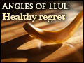 Angles of Elul: Healthy Regret