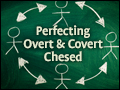 Perfecting Overt & Covert Chesed