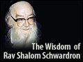 The Wisdom of Rav Shalom Schwardron