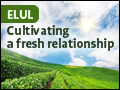 Elul - Cultivating a Fresh Relationship