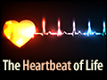 The Heartbeat of Life