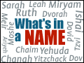 What's In a Name?