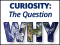 Curiosity: The Question 'Why'