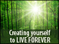 Creating Ourselves and Living Forever
